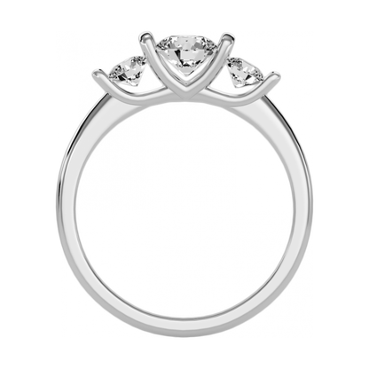 The Complimenting Engagement Ring-Color_White-Gold