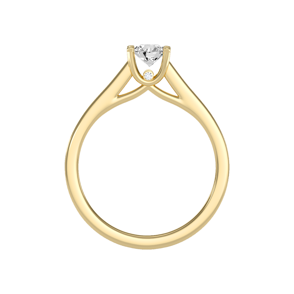 Magnetic Solitaire Ring