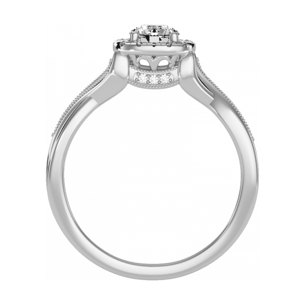 The Favourable Halo Ring-Color_White-Gold