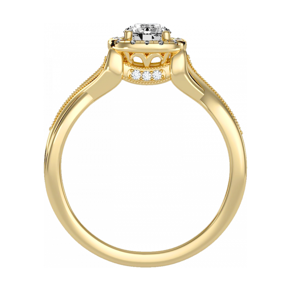 The Favourable Halo Ring-Color_Yellow-Gold