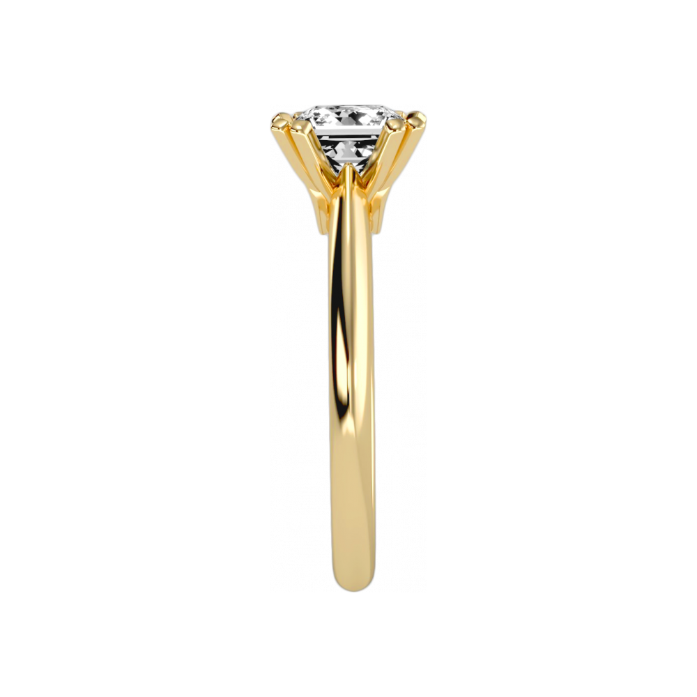 Heavenly Engagement Ring 
