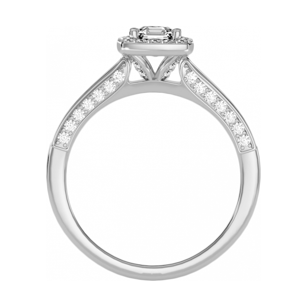 The Impeccable Halo Ring-Color_White-Gold