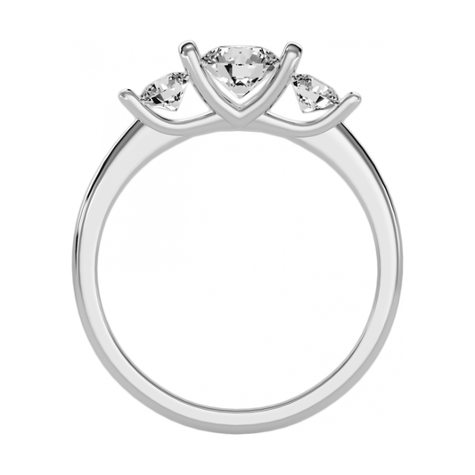 The Complimenting Engagement Ring-Color_White-Gold