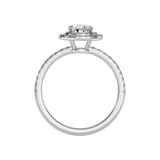 Terrific Halo Diamond  Ring