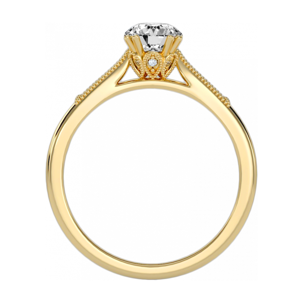 The Asombrosa Solitaire ring-Color_Yellow-Gold