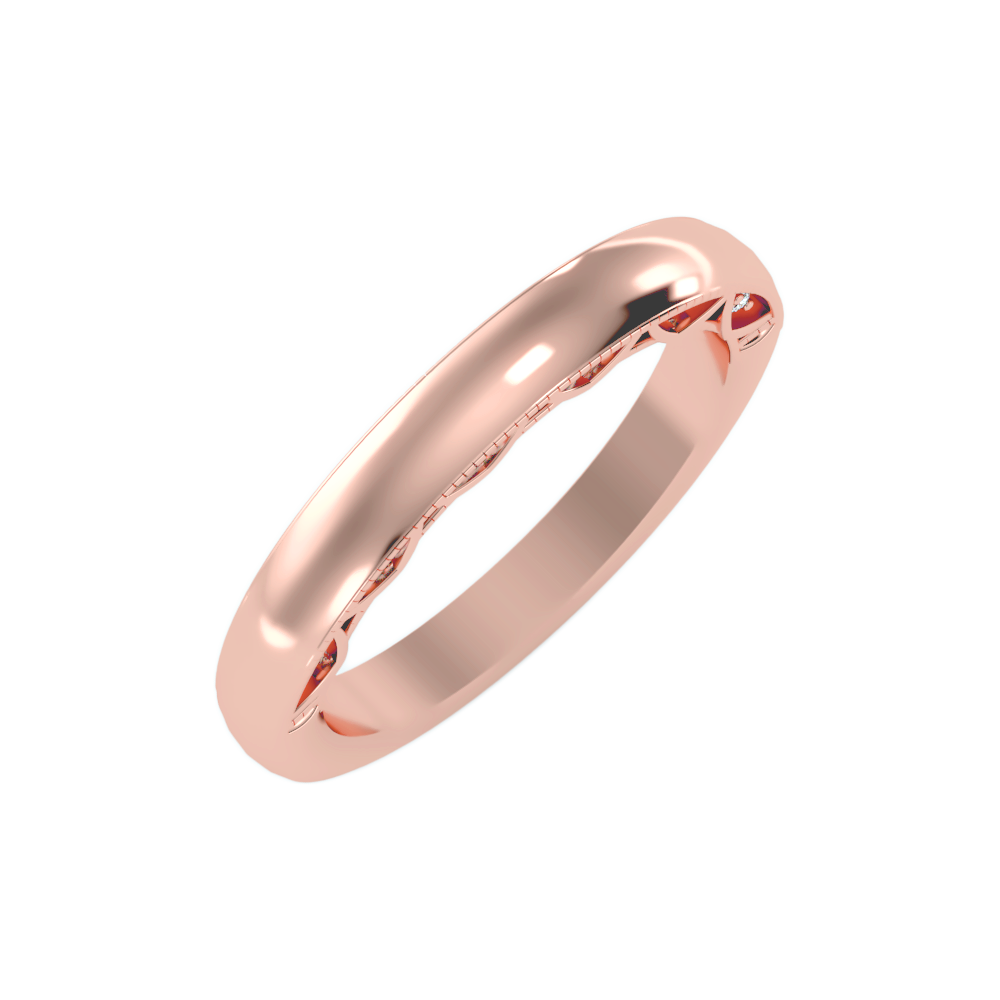 The Beautiful Sleek Wedding Band